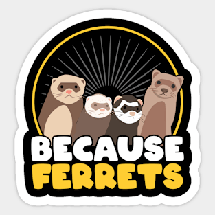 Because Ferrets Sticker